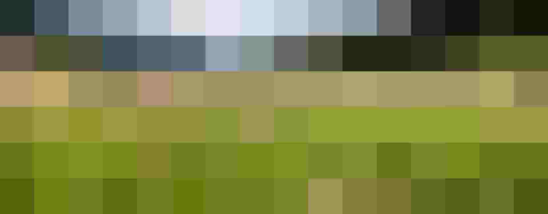 Urlaub am Schwabhof 🐄 Gemütliche Ferienwohnungen 🌿