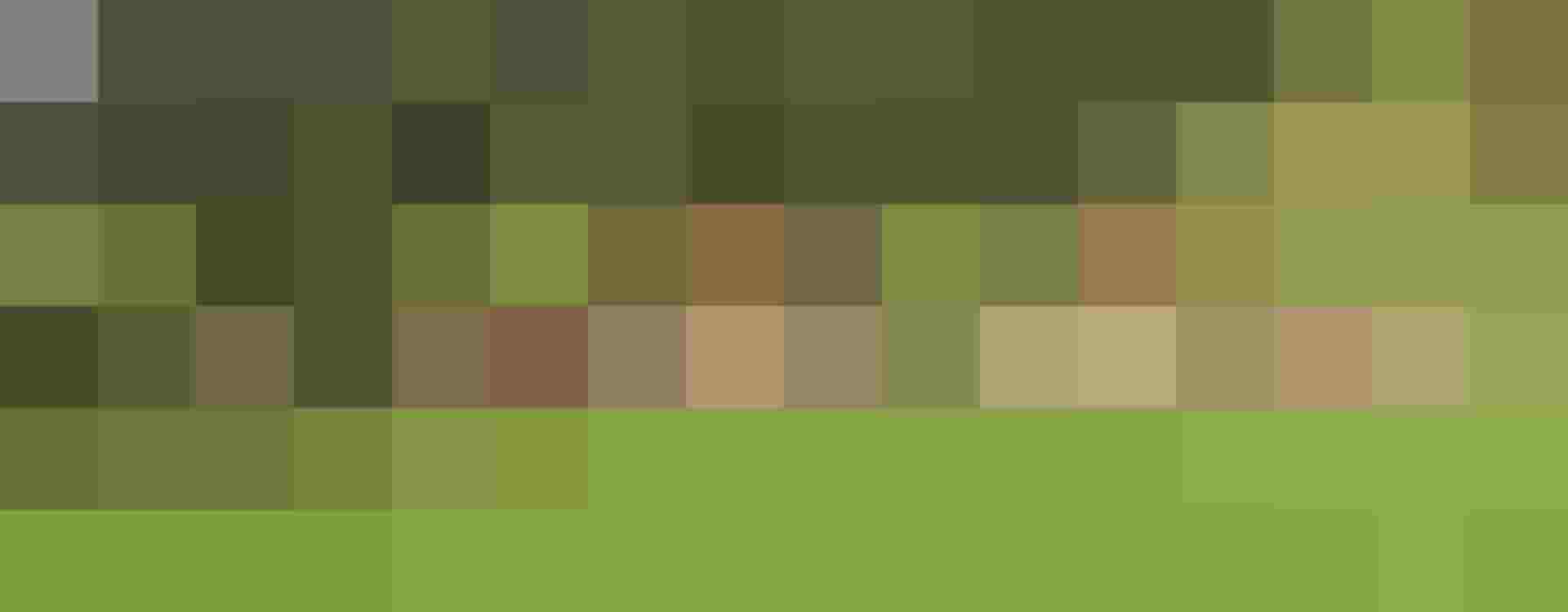 Biobauernhof Schwabhof in Kleinarl