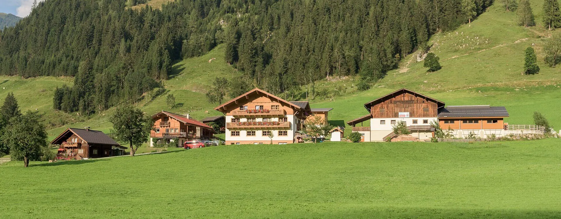 Biobauernhof Schwabhof in Kleinarl